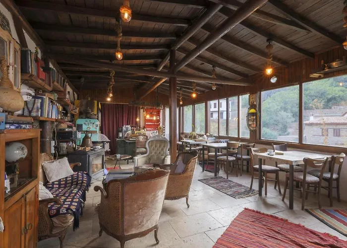 Nikbin Yamac Selçuk