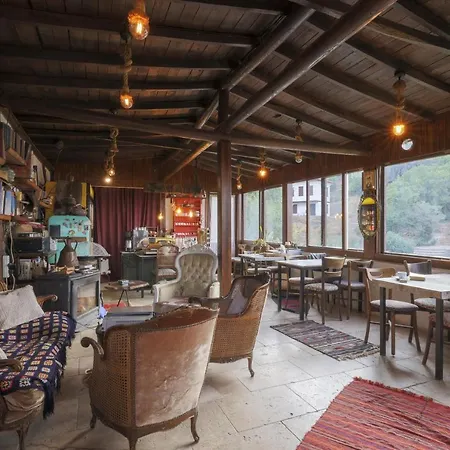 Nikbin Yamac セルチュク