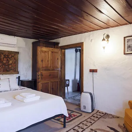 Nikbin Yamac セルチュク