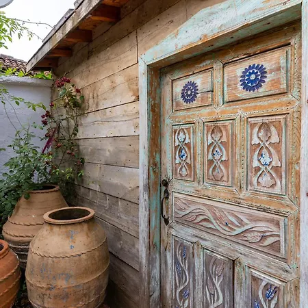 Nikbin Yamac セルチュク