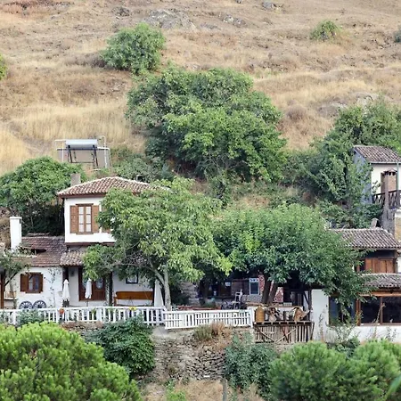Guest house Nikbin Yamac