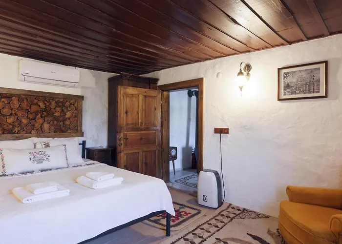 Nikbin Yamac Selçuk